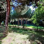 Lejlighed Aurelia Relax