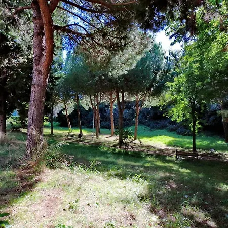Lejlighed Aurelia Relax